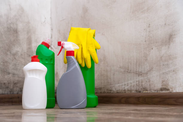 Why You Should Choose Our Mold Remediation Services in Viola, NY